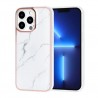 iPhone 13 Pro UNIQ Accessory Case